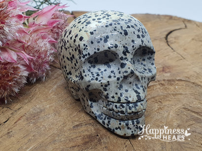 Dalmation Jasper Skull