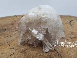 Clear Quartz Cluster Skull