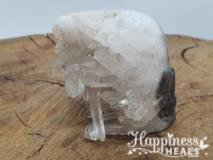 Clear Quartz Cluster Skull