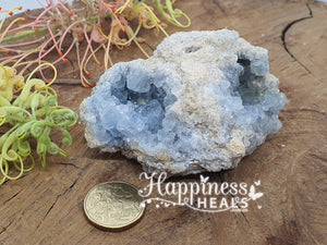 Celestite Cluster