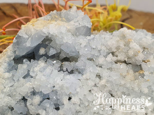 Celestite Cluster