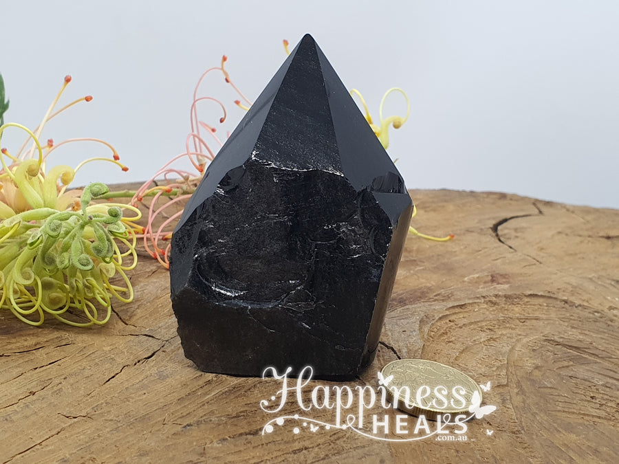 Black Obsidian Point