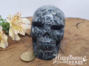 Kambaba Jasper Skull