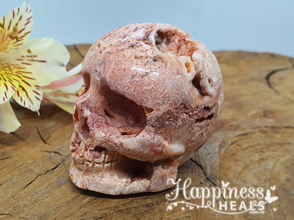 Pink Crazy Lace Agate Skull