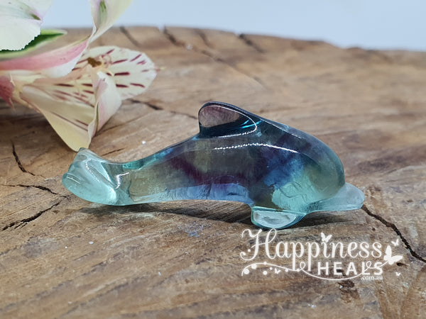 Rainbow Fluorite Dolphin