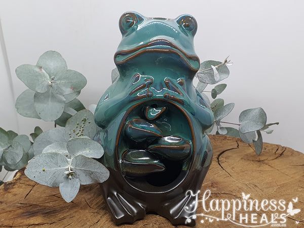Frog Back Flow Ceramic Fountain