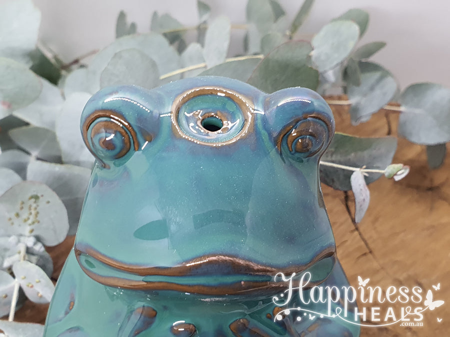 Frog Back Flow Ceramic Fountain