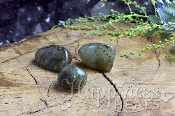 Labradorite (Tumbled)