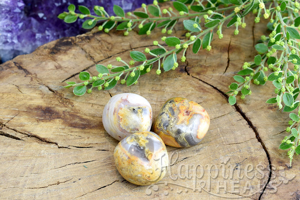 Yellow Crazy Lace Agate (Tumbled)