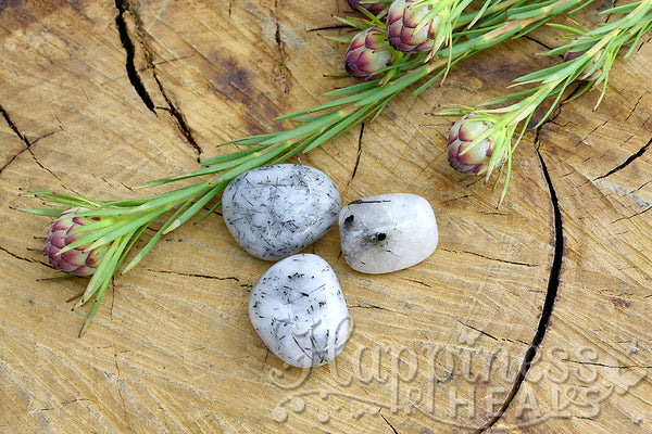 Tourmaline Quartz (Tumbled)