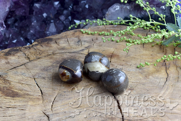 Septariano (Tumbled) 