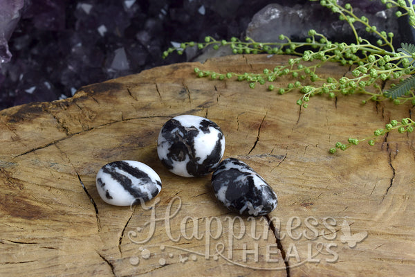 Zebra Jasper - Black & White (Tumbled)