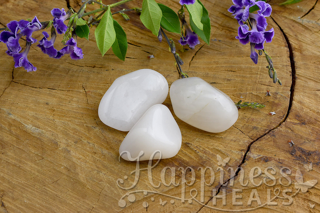 planta jade blanco Jade Blanco (Tumbled)