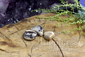 Nguni Jasper (Tumbled)