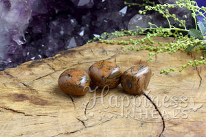 Lion Jasper (Tumbled)