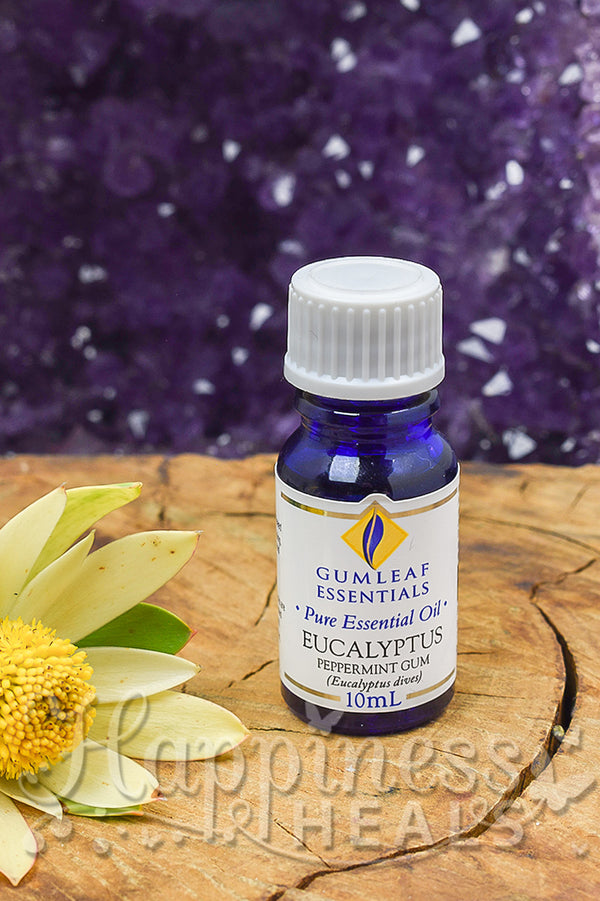 Eucalyptus Peppermint Gum Essential Oil