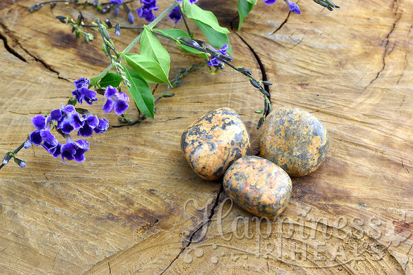 Jaspe de piel de leopardo (tumbled)