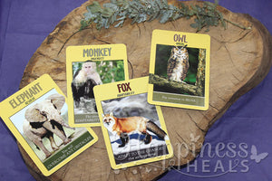 Power Animal Oracle Cards