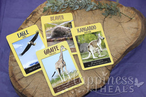 Power Animal Oracle Cards